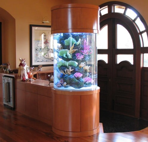 Decorating Your Home with Beautiful Aquarium Design Ideas