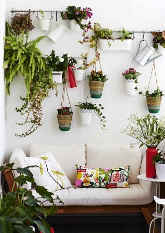 Duvarlarınızdaki bitkilerle oynayın