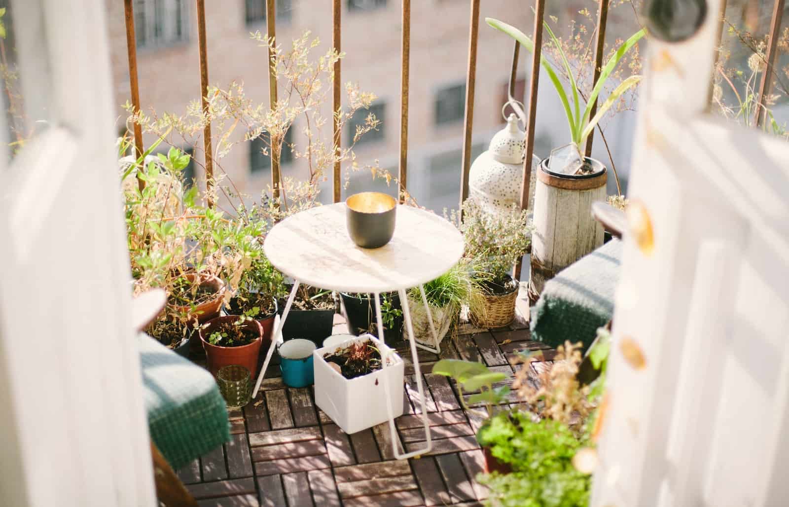 bitkilerle teras veya balkon nasıl dekore edilir
