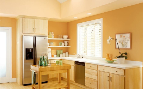 mutfak boya fikirleri sıcak renkler rahat mutfak mobilyaları