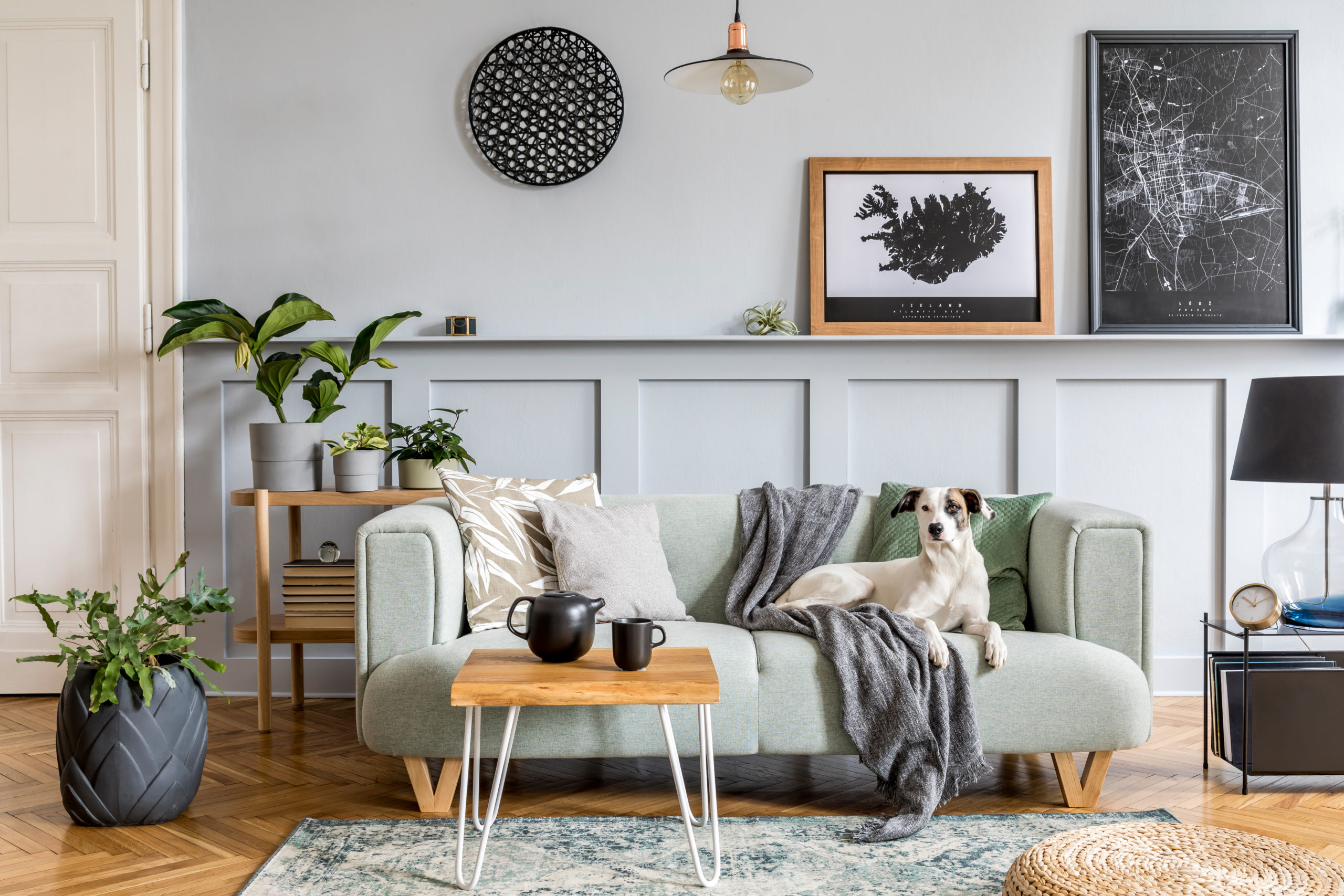 Modern nane kanepe, ahşap konsol, mobilya, bitki, poster çerçevesi, pdecoration, ev dekorasyonunda zarif aksesuarlar ve kanepede yatan köpek ile oturma odasının şık iç tasarımı.
