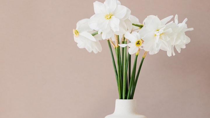vaso a fiori bianchi
