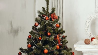 Noel ağacı ve beyaz duvar
