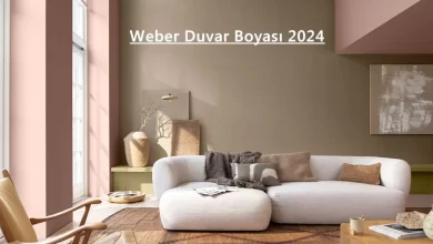 Weber Duvar Boyası 2024