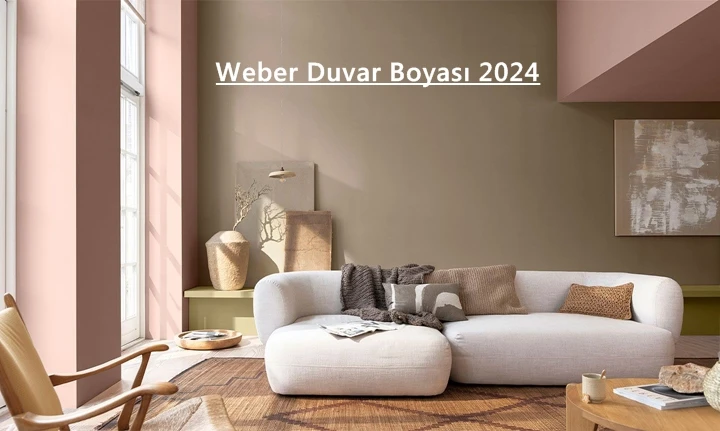 Weber Duvar Boyası 2024